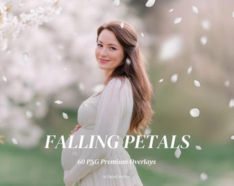 60 Spring Flower Petal Overlays, Falling Floral Effects, Wedding Maternity Photoshop Elements, PNG