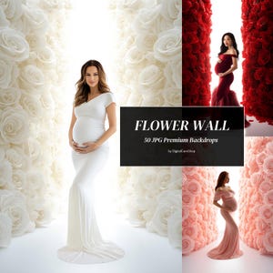 50 Hintergrundbeleuchtete Blumenwand Set Backdrops Hintergrundbeleuchtung Mutterschaft Digitaler Hintergrund Valentinstag Hintergrund Rot Rosa Rosen Wand Romantische Überlagerung JPG