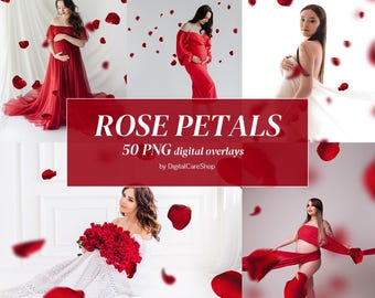 50 RED Rose Petals Overlays Falling Rose Petal Digital Overlay Romantic Maternity Backdrops Valentine's Day Maternity Overlay Rose Petal PNG