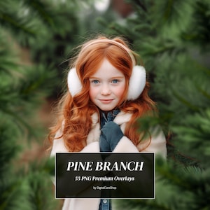 55 PINE BRANCH Overlays Christmas Tree Overlay Winter Pine Backdrops Fir Branches Digital Overlays Pine Christmas Decoration for Photoshop