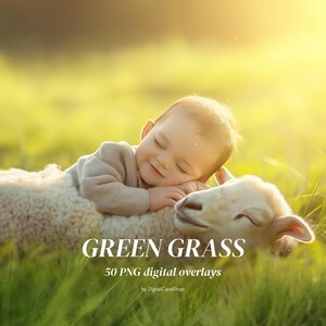 May include: A baby sleeping peacefully on a fluffy white lamb in a field of green grass. The image is titled "Green Grass" and says "50 PNG digital overlays" by DigitalCareShop.