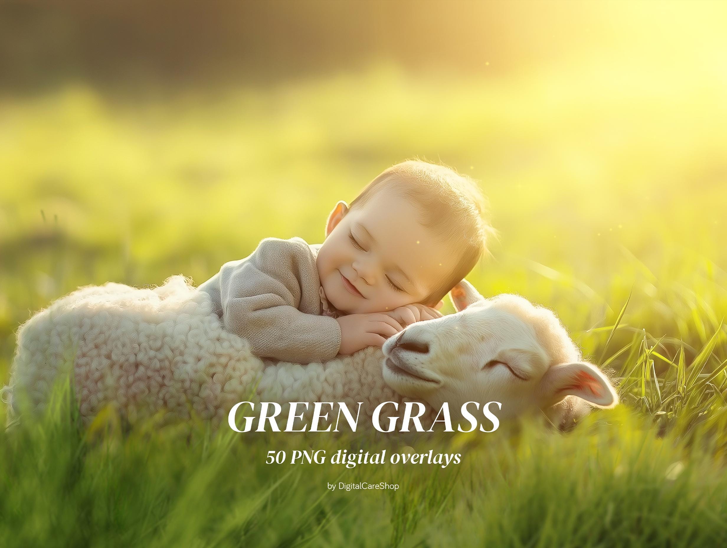 Tuft Overlay 50 PNG Grass Overlays Spring Tufts of Grass Botanical Green Grass ...