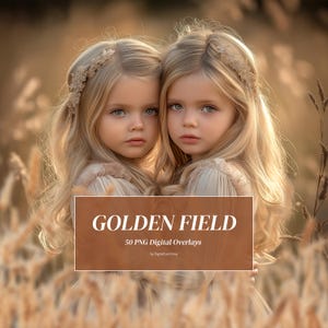 50 Golden Fields Overlays Golden Wheat Overlay Spring Summer Backdrop Flower Field Cornfield Digital Overlays for Photoshop Transparent PNG
