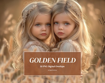 50 Golden Fields Overlays Golden Wheat Overlay Spring Summer Backdrop Flower Field Cornfield Digital Overlays for Photoshop Transparent PNG