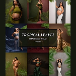 May include: A collection of 60 PNG digital overlays featuring tropical leaves, presented as a collage of maternity photography samples. The central text reads TROPICAL LEAVES 60 PNG Premium Overlays by DigitalCareShop, showcasing various gowns.