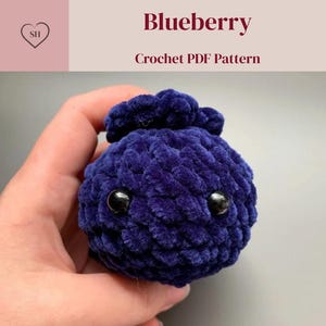 Blueberry Crochet Pattern No Sew Beginner Friendly Download PDF Pattern Crochet Amigurumi Stuffed Plushie