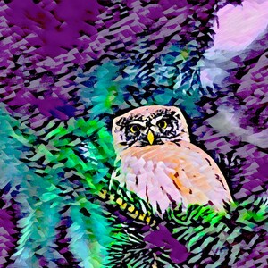 Abstract Owl - Digital Artwork for Office, Apartment, Home, Studio Space