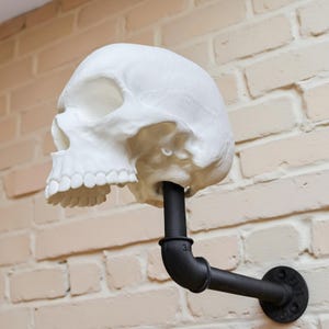Puede incluir: Una escultura de calavera blanca montada en un soporte de pared de tubo negro. La calavera está mirando hacia un lado y el tubo está doblado en un ángulo de 90 grados.