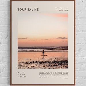 Tourmaline Surfing Park Print - San Diego Beach Wall Art, Coastal Decor, Unframed Surf Spot Poster