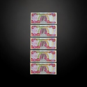 Buy 125,000 Iraq Dinars | 5 X 25,000 IQD Banknotes | Uncirculated, Trusted, Authentic, Iraq Currency and Money | Series 2003 or Series 2020