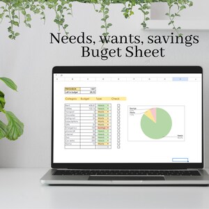 50-30-20 Budget Sheet