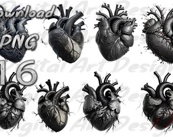 Pacchetto di clipart PNG di cuori anatomici realistici (download digitale)