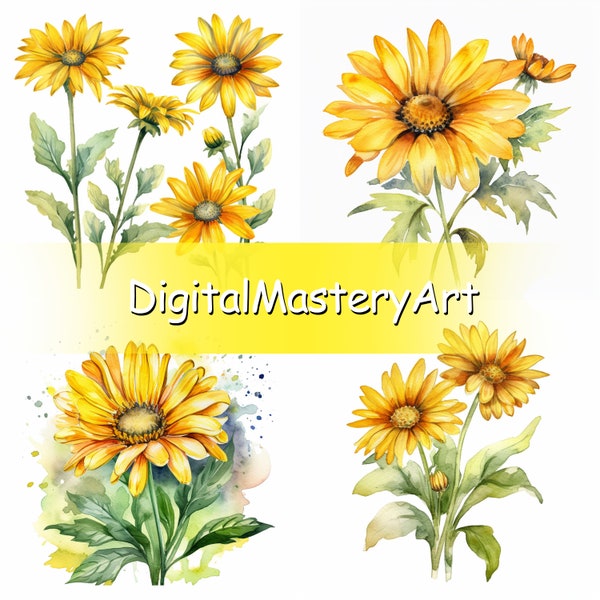 Delicate yellow Daisy Clipart, Digital Watercolor Flowers for Design