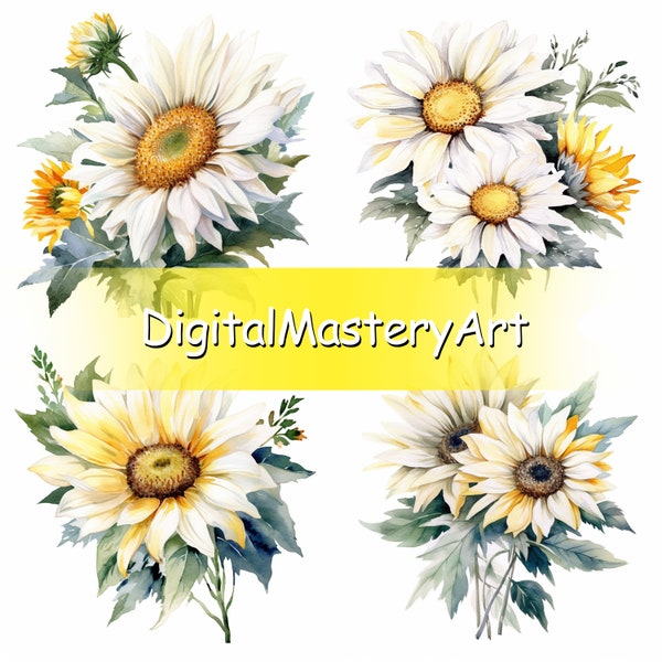 Vibrant Watercolor white Sunflower Clipart, Stunning Floral Art for Digital Projects