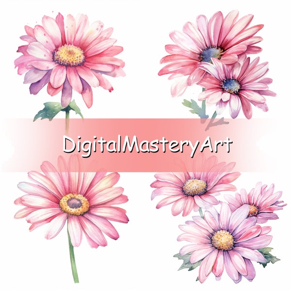 Hand-Painted pink Daisy Clipart, High-Quality Watercolor Graphics