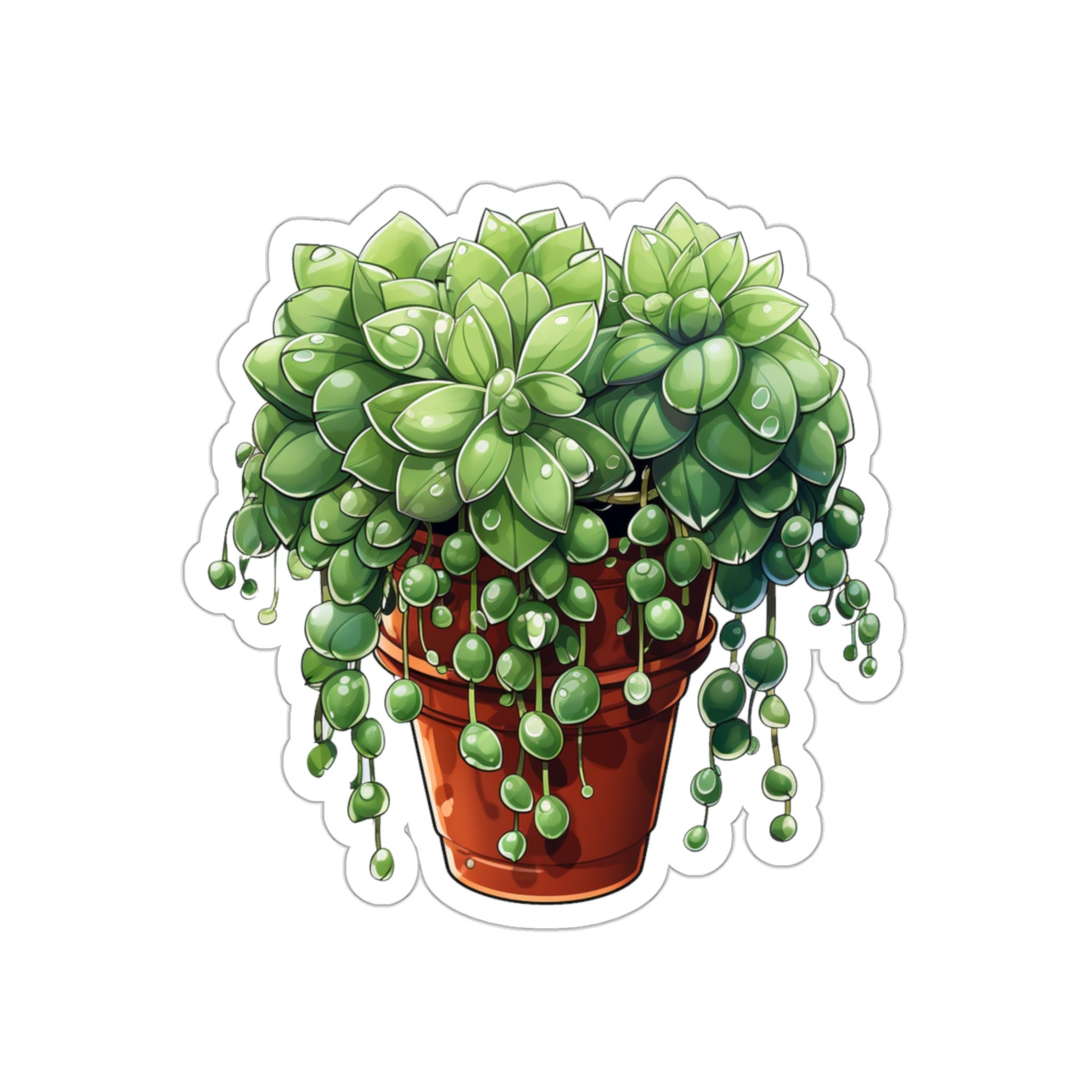 Cactus Sticker String of Pearls Sticker Gift for Desert Lover Sticker ...