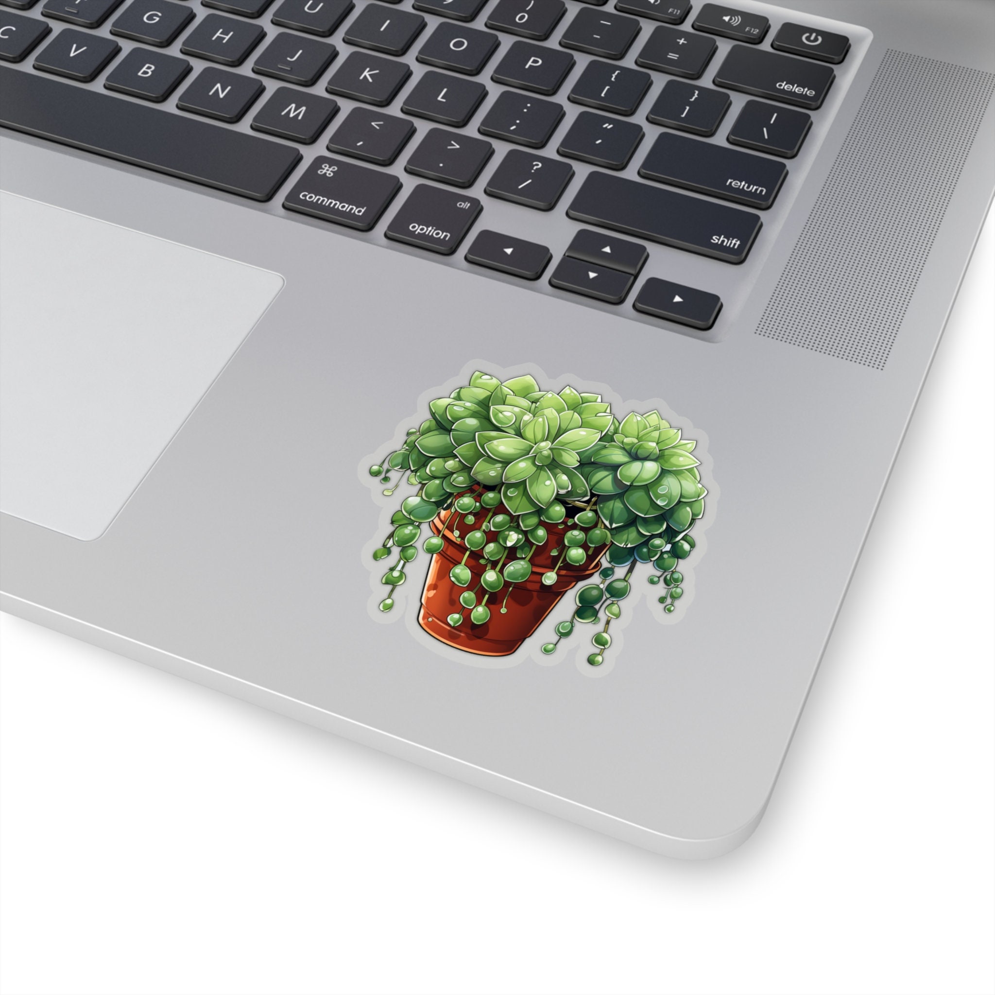Cactus Sticker String of Pearls Sticker Gift for Desert Lover Sticker ...