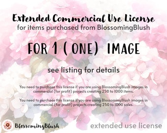 Extended Commercial Use License for Clipart Images purchased from BlossomingBlush