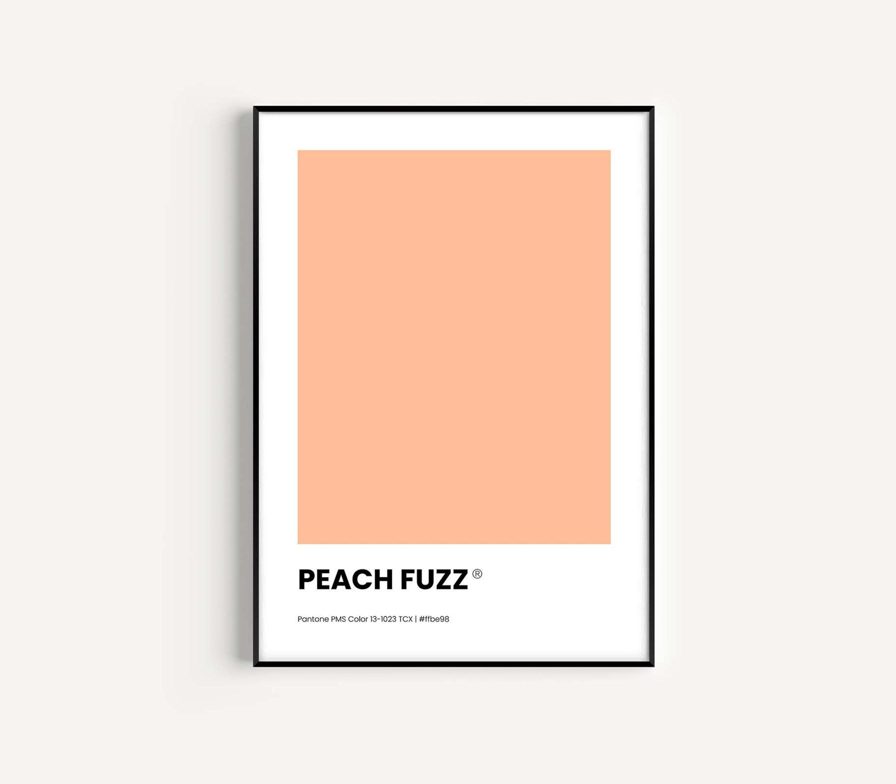Pantone Color of the Year, PANTONE 2024 Print Poster, Pantone