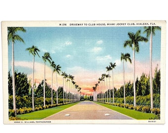 Cartão postal vintage da década de 1940 da entrada para o Club House, Miami Jockey Club Hialeah, Flórida - Fileiras de palmeiras - Topografia - Sem uso