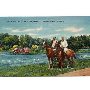 Cartolina d'epoca del 1946 - Due persone a cavallo vicino a Silvian Springs, St Simons Island, Georgia - Francobollo da 1 centesimo di George Washington