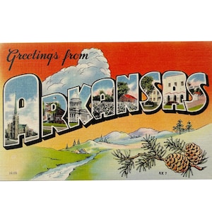 Vintage 1940s Greetings from ArkansasTouristism Großbrief Postkarte - Tannenzapfen und Berge - Unbenutzt