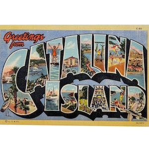 Carte postale vintage des années 1940 Greetings from Catalina Island California grande lettre - inutilisé