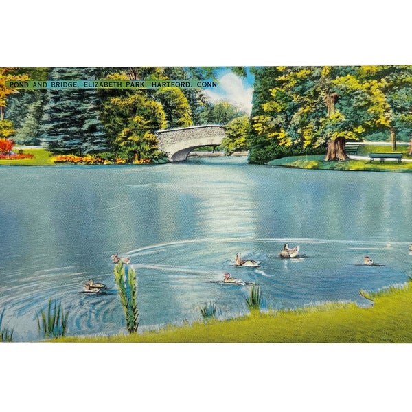 Antique 1930s Pond and Bridge at Elizabeth Park in Hartford Conn. Postcard - Unused