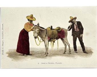 Postales antiguas de burros o burros de la década de 1900 con relieve divertido - Drop a Nickel - Lindas postales de animales - Sin usar
