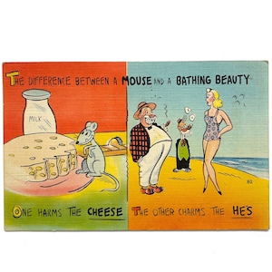 1944 Vintage Comic Humor Postcard - Bathing Beauty vs Mouse Joke - Freedom of Speech Liberty One Cent Stamps