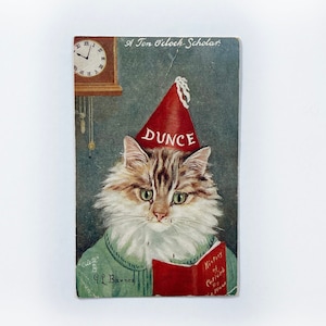 Cartão postal raro vintage de 1908, "Gato em Fairlyland", de TUCK, de G.L. Barnes Oilette, série II, 9402, selo de 1 centavo da Benjamin Franklin