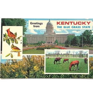 Cartolina turistica d'epoca degli anni '60 con auguri dal Kentucky - Lo Stato del Blue Grass - Inutilizzata