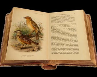 The birds of Africa 1896-1912 by George Ernest Shelley 7 Pdf E-books