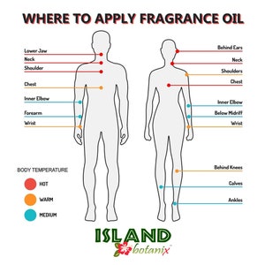 May include: Diagram showing the best places to apply fragrance oil on the body. The diagram shows a man and a woman with red, orange, and blue dots indicating where to apply fragrance oil. The diagram also includes a key showing that red dots indicate hot areas, orange dots indicate warm areas, and blue dots indicate medium areas.
