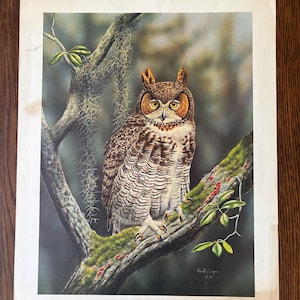 Ronald Louque - Limited Edition Signed Print - Great Horned Owl