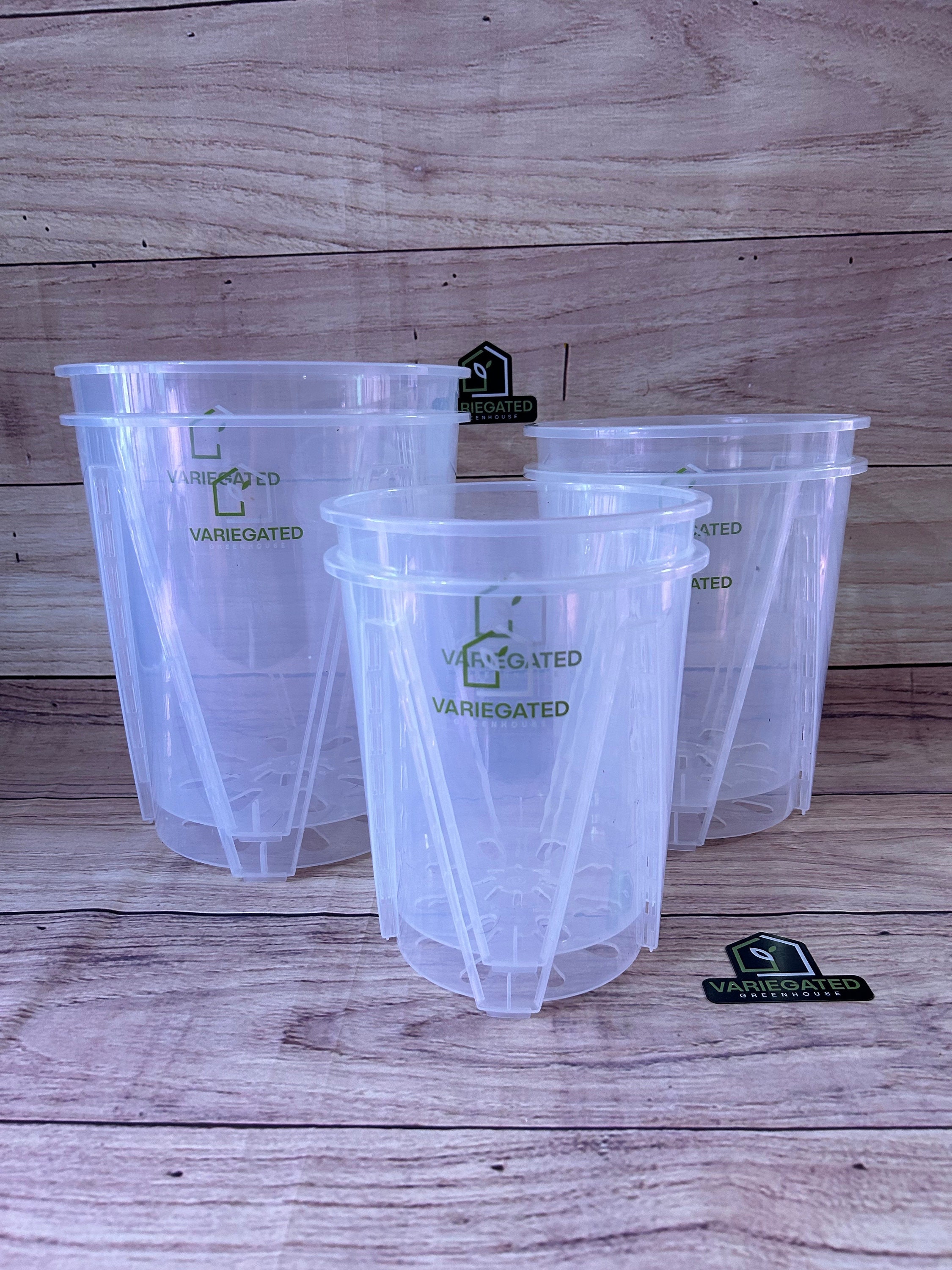 6-Inch Transparent Plastic Planter Plant Nursery Pots with