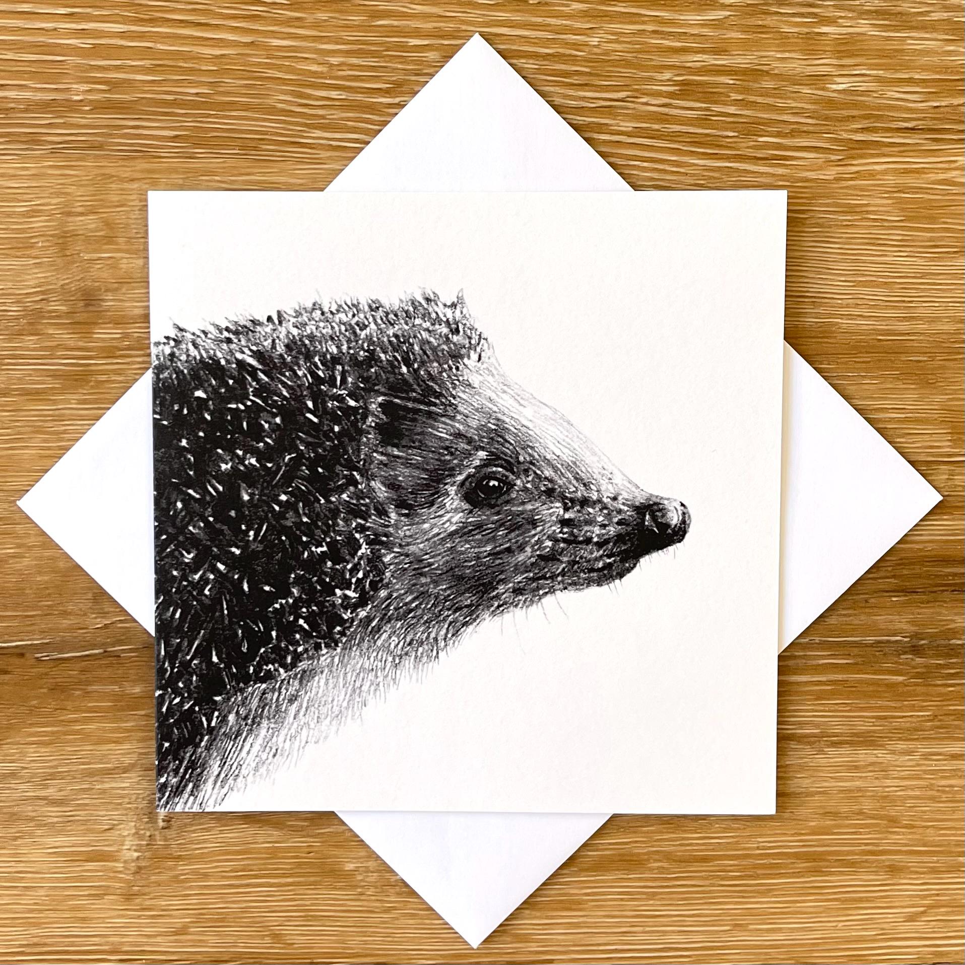 Hedgehog- Greetings Card (Aristotle)