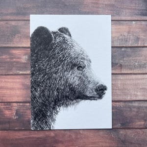 Ours - Carte pour correspondance/carte postale A6