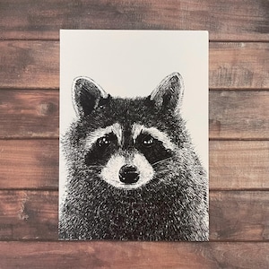 Raton laveur - Carte postale/Carte pour notes A6