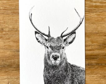 Stag - A5 Fine Art Print