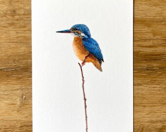 Kingfisher - A5 Fine Art Print