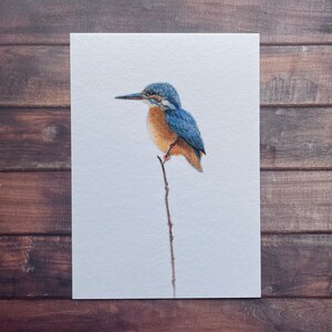 Martin-pêcheur d'Amérique - Carte postale/Carte pour notes A6