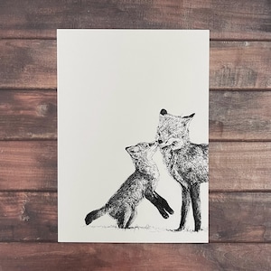 Renards - Carte postale/carte pour correspondance A6