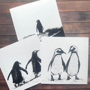 Paquet de 3 cartes de voeux pingouin