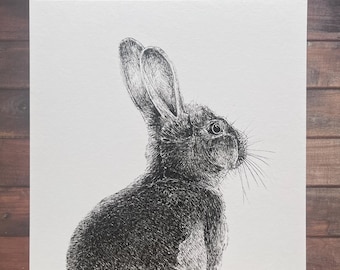 May include: A black and white pen and ink drawing of a rabbit looking to the right. The rabbit is drawn in a realistic style with detailed fur.