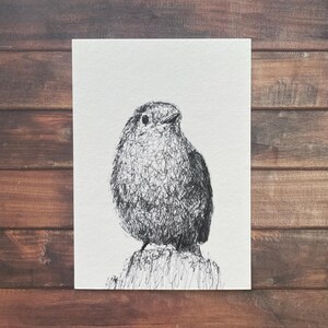 Robin - Carte postale/Carte pour notes A6