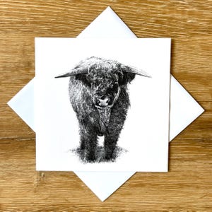 Highland Cow - Greetings Card ( Macbeth)