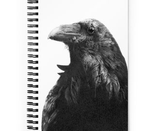 Raven - Notebook