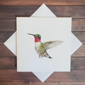 Colibri à gorge rubis - Carte de voeux