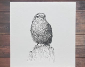 May include: A black and white pen and ink drawing of a bird perched on a branch. The bird is drawn in a detailed, realistic style.